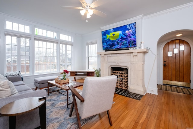 living room featuring ceiling fan, hardwood / wood-style floors, and crown molding