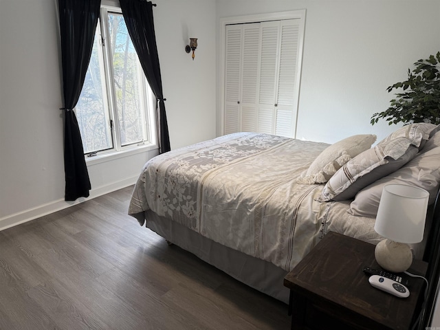 bedroom featuring multiple windows, dark hardwood / wood-style floors, and a closet