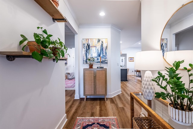 corridor featuring dark hardwood / wood-style floors and ornamental molding