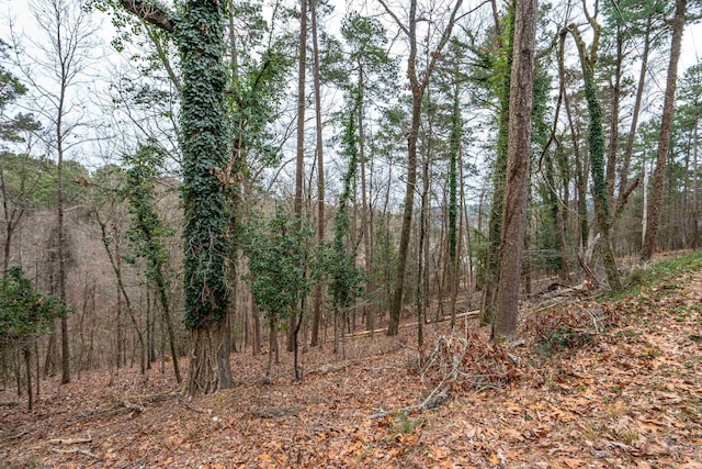 Address Not Disclosed, Hot Springs AR, 71901 land for sale