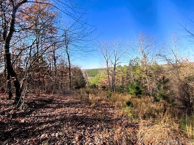 Bear Mountain Rd, Greers Ferry AR, 72067 land for sale