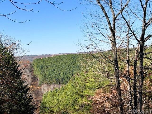 Listing photo 2 for Bear Mountain Rd, Greers Ferry AR 72067