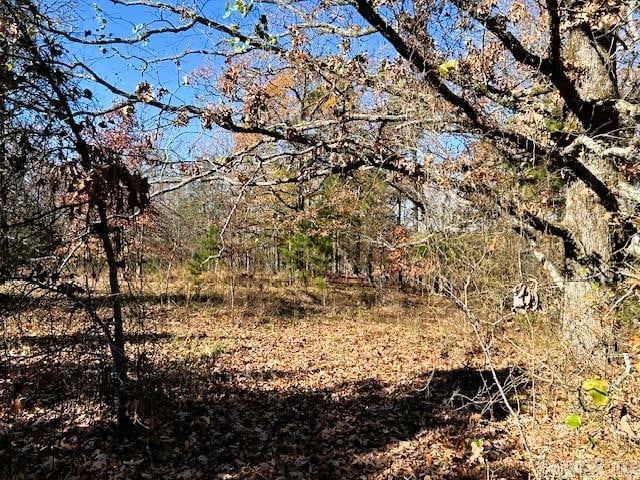 Listing photo 3 for Bear Mountain Rd, Greers Ferry AR 72067