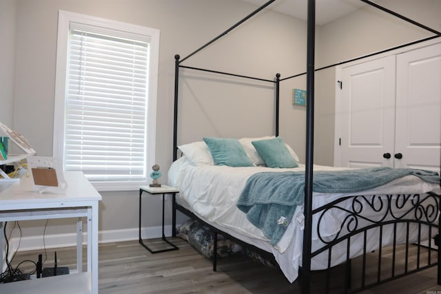 bedroom with wood-type flooring and a closet