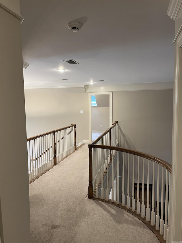 corridor with carpet and crown molding