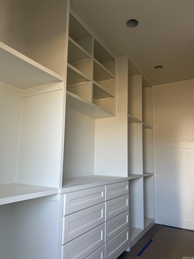 view of walk in closet