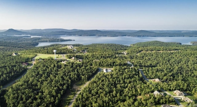 birds eye view of property with a water and mountain view