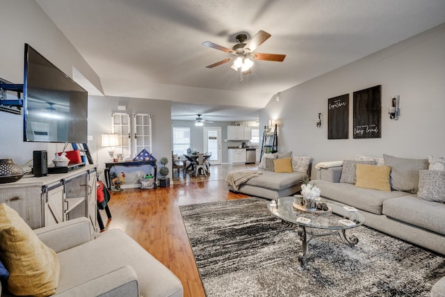 living room featuring vaulted ceiling, a textured ceiling, and light wood-type flooring