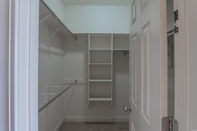 walk in closet with carpet flooring