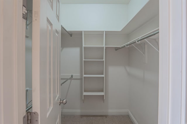 walk in closet featuring carpet