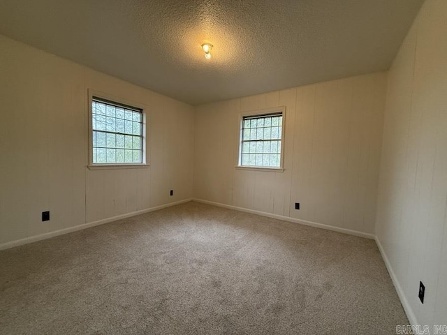 carpeted spare room featuring a wealth of natural light and a textured ceiling