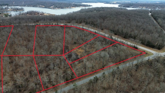 Listing photo 3 for LOT21 S Bend Dr, Horseshoe Bend AR 72512