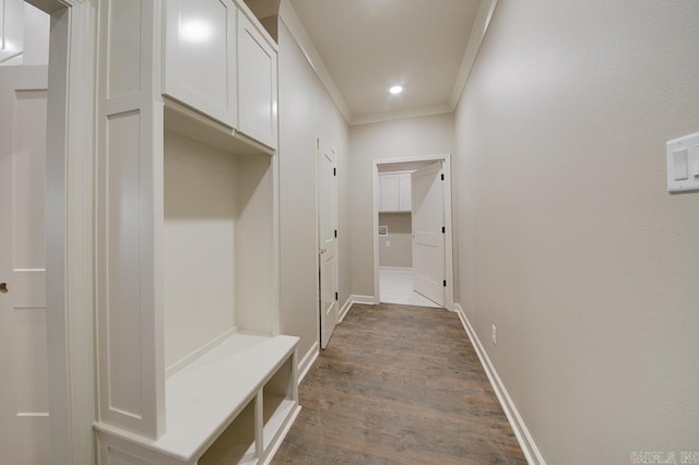 mudroom featuring crown molding and dark wood-type flooring