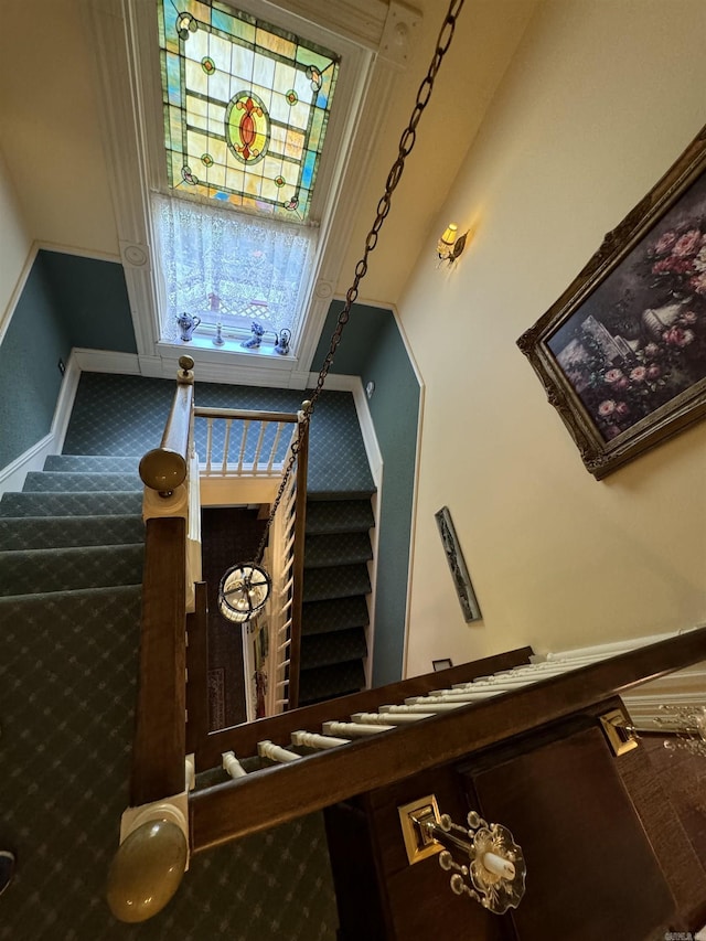 stairway featuring carpet