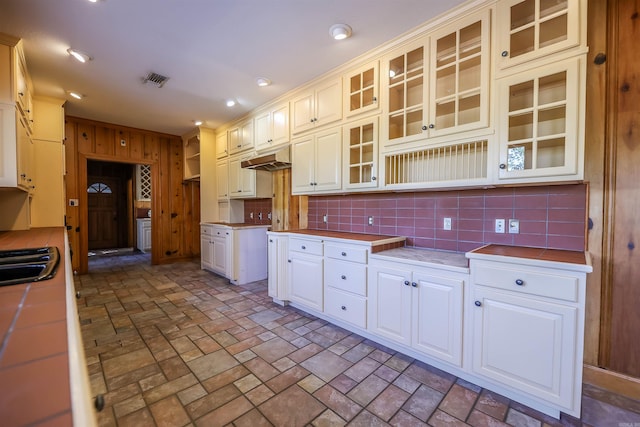 kitchen featuring tasteful backsplash and sink