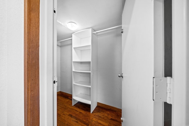 spacious closet featuring dark hardwood / wood-style flooring