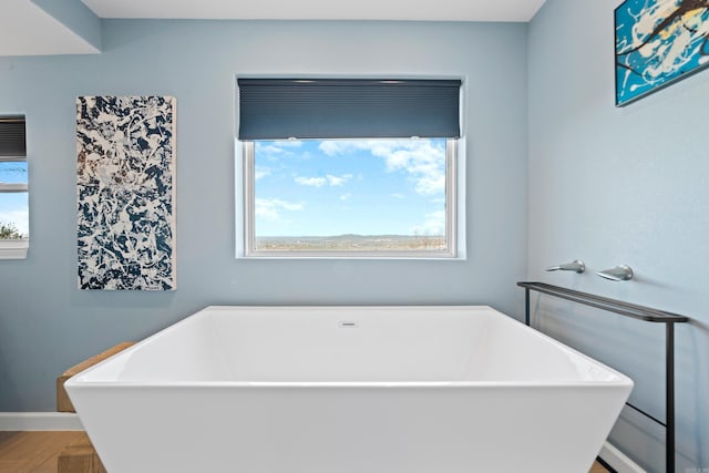 bathroom with a washtub and a wealth of natural light