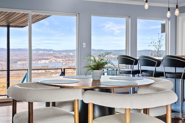 dining space with a mountain view, hardwood / wood-style flooring, and ornamental molding