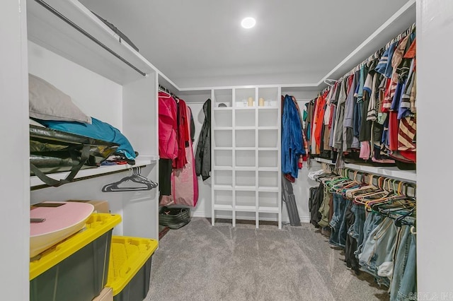 spacious closet with carpet floors