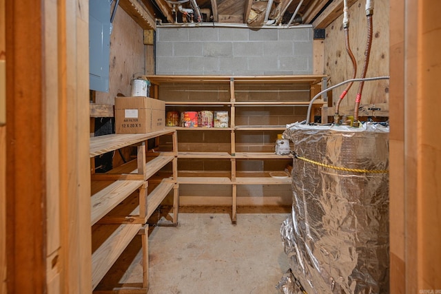 storage room with electric panel