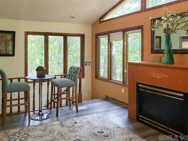 interior space featuring hardwood / wood-style flooring, a healthy amount of sunlight, and lofted ceiling