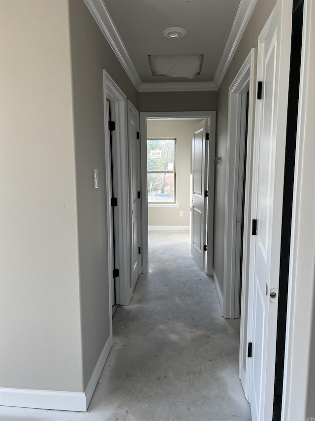 corridor with crown molding