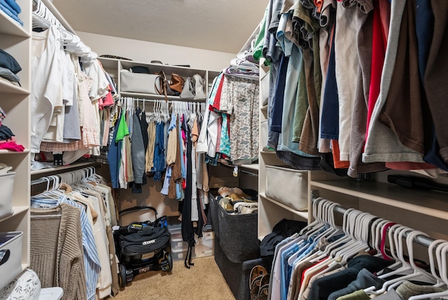 spacious closet featuring carpet flooring