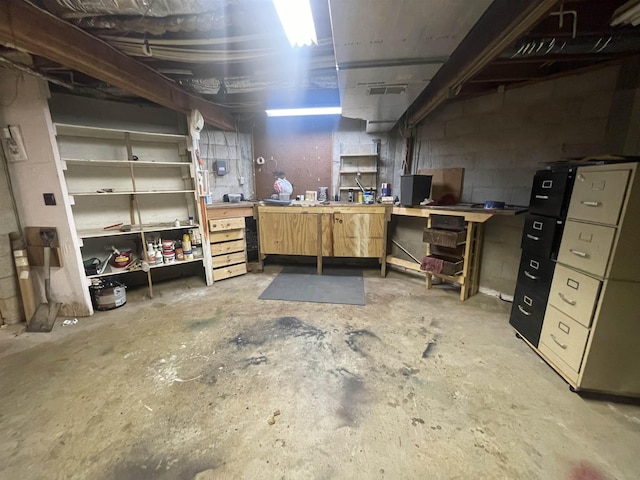 basement featuring a workshop area