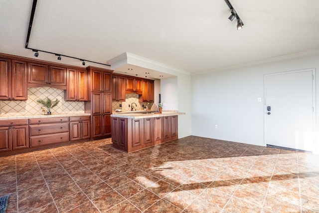 kitchen with rail lighting, tasteful backsplash, and crown molding