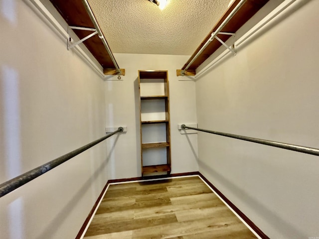 spacious closet featuring wood-type flooring