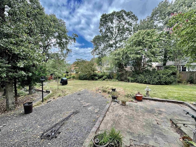 view of yard featuring a patio