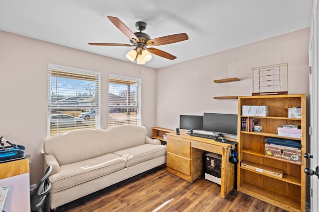 office with hardwood / wood-style floors and ceiling fan