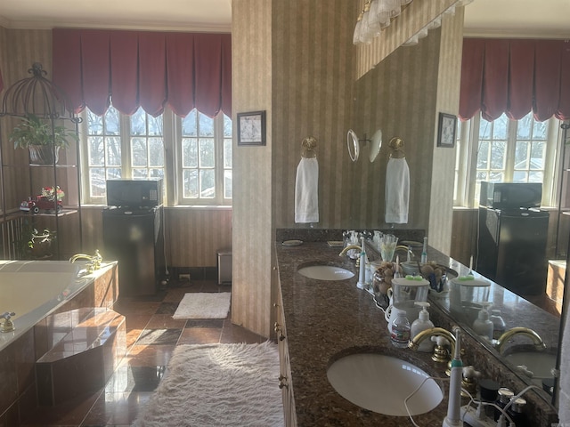 bathroom with a bathtub and vanity