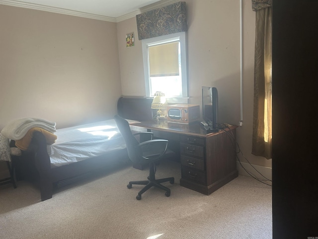 carpeted office with crown molding