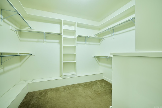 spacious closet featuring light carpet