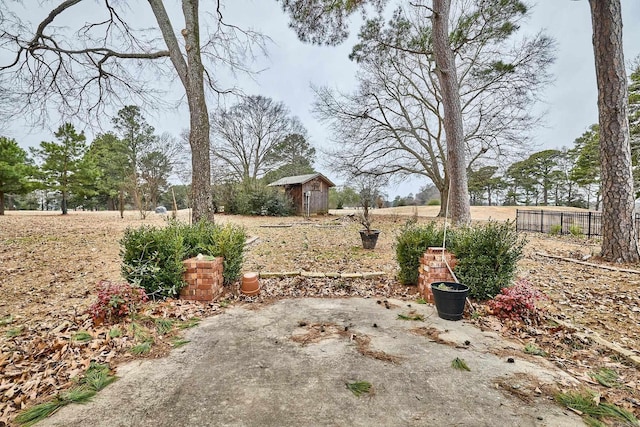 view of yard with a storage shed