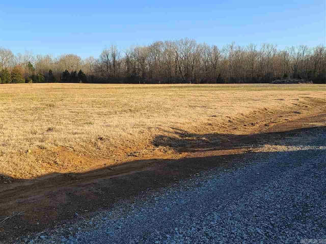 4 Taylors Place Ln, Conway AR, 72032 land for sale