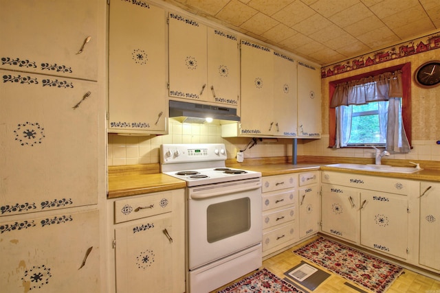 kitchen featuring electric stove and sink