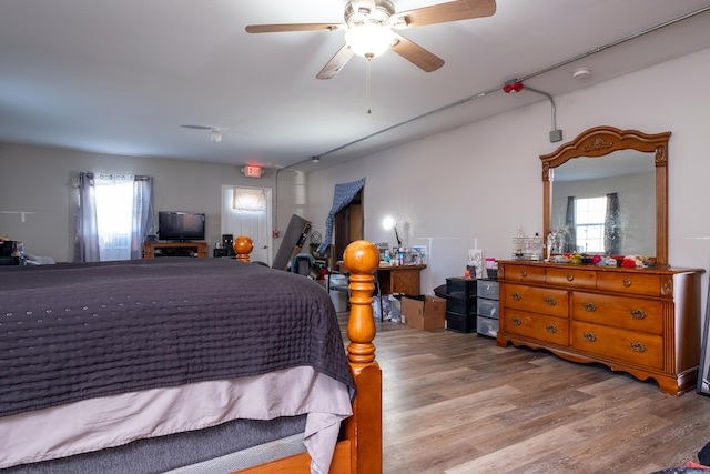 bedroom featuring multiple windows, ceiling fan, and light hardwood / wood-style flooring