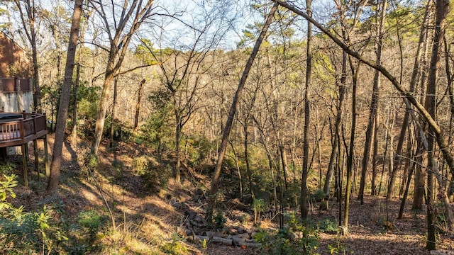 view of landscape