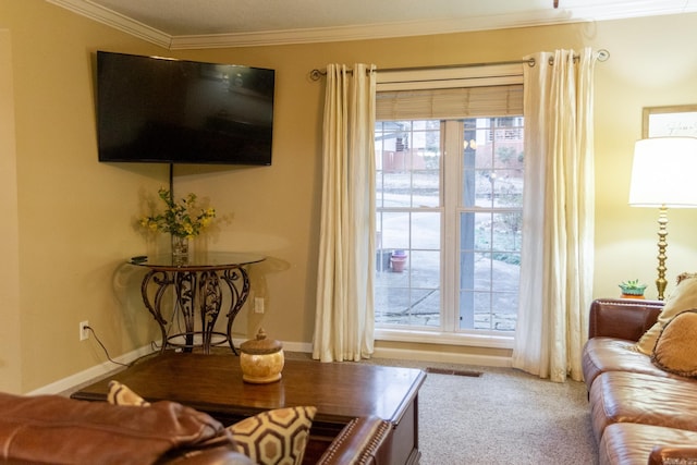 living room featuring carpet, a healthy amount of sunlight, and ornamental molding