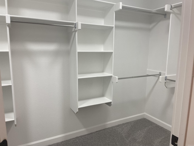 walk in closet featuring carpet flooring