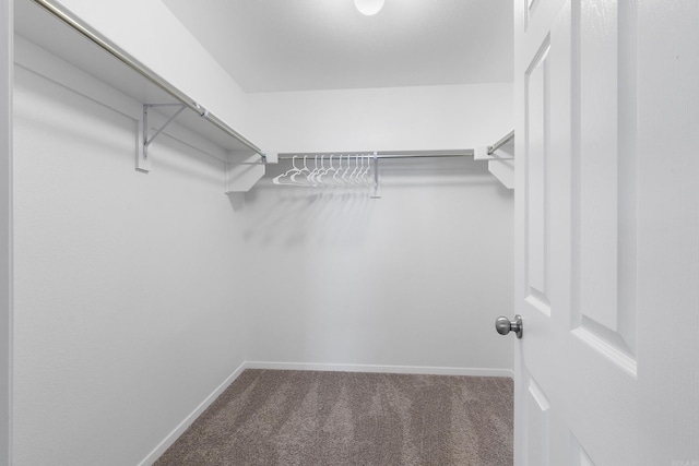 spacious closet with carpet floors