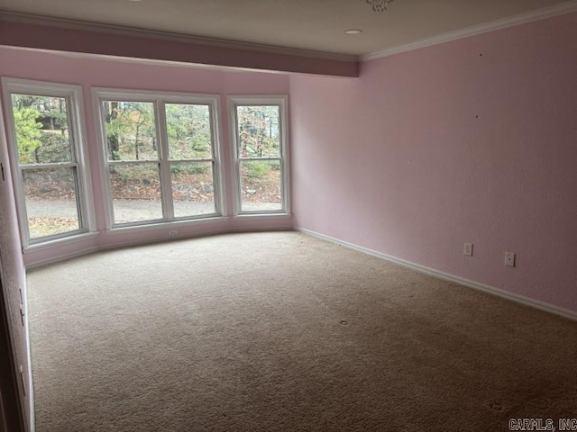 carpeted empty room featuring crown molding