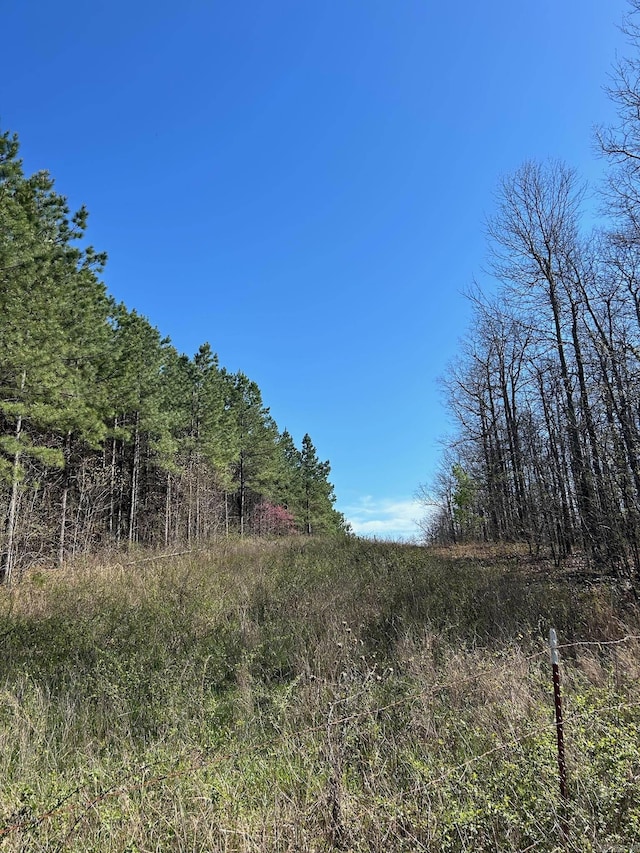 1 Rex Rd, Clinton AR, 73031 land for sale