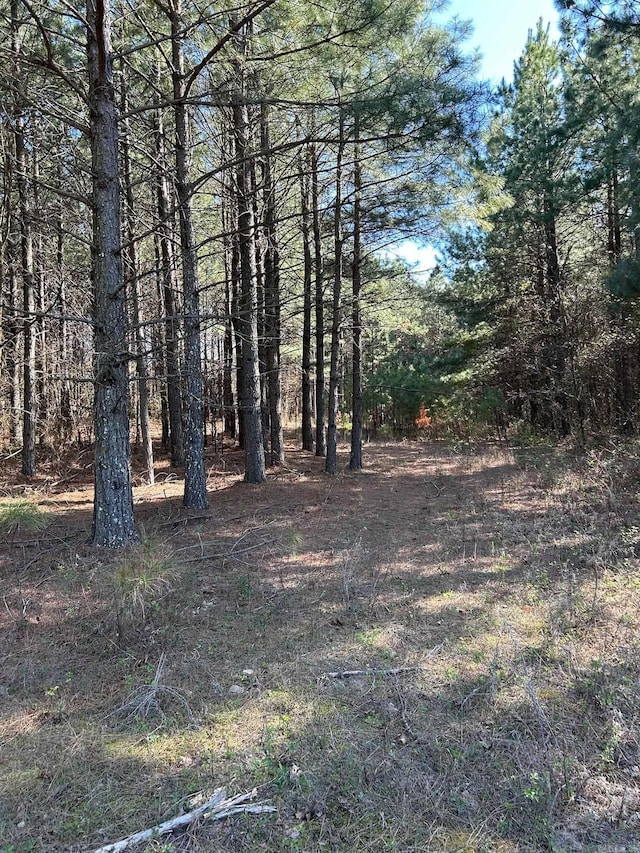 Listing photo 3 for 1 Rex Rd, Clinton AR 73031