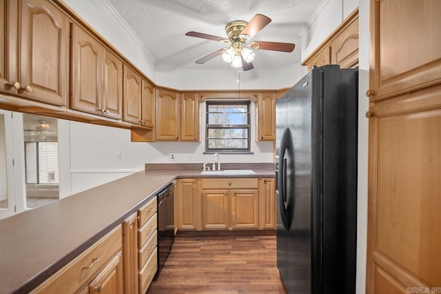 kitchen featuring ornamental molding, a textured ceiling, sink, black appliances, and dark hardwood / wood-style floors