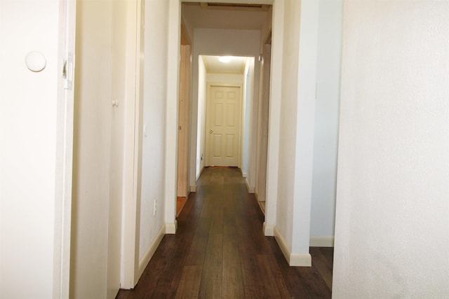 hallway featuring dark hardwood / wood-style floors