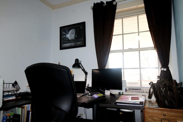 office space with ornamental molding