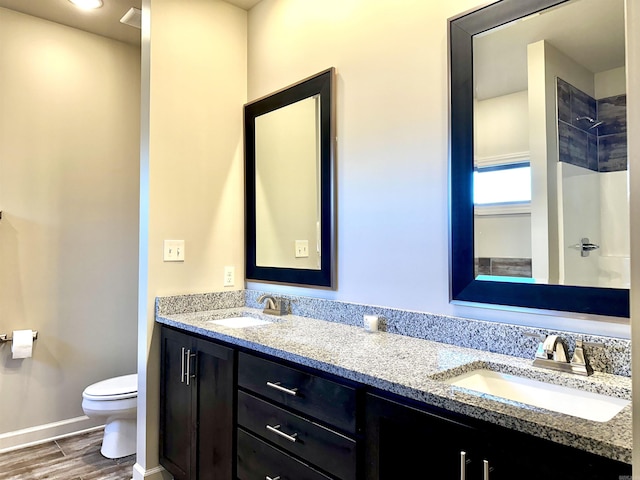 bathroom with a shower, vanity, and toilet